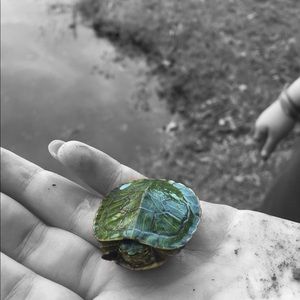 Meet your Posher, Fatima